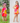 Poppins Halter Neck Twinning Dresses for Mother and Daughter| Pure Cotton