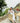 Vacation Mode| Adult Nightsuit Set| Pure Cotton