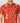 Holiday Shirt for Men| Red Bird| Pure Cotton