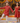 Red Bandhani Sibling Twinning Outfits| Pure Cotton