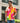 Designer Shirt for Men| Poppins | Pure Cotton