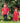 Red Bird Sibling Twinning Outfits | Pure Cotton