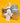 Mini Aloka Baby Hamper-Yellow Mellow