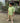 Tropical Shirt for Boys| Green Forest| Pure Cotton