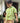 Tropical Shirt for Boys| Green Forest| Pure Cotton