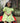 Tropical Dress for Girls| Green Forest| Pure Cotton