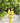 Green Paradise| Twinning Nightsuit Set| Pure Cotton