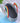 Boho Basket Rainbow- Grey