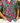 Holiday Wear Shirt for Men | Rabbit | Pure Cotton