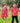 Red floral firework Sibling Twinning Outfits | Pure cotton