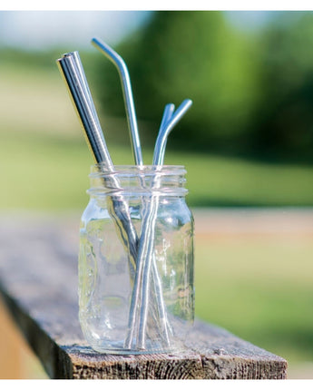 Stainless Steel Straws- Set