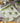 Green Elephants Bath Towel