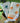 Blue Bird & Orange Birdie Bath Towel- Set of 2